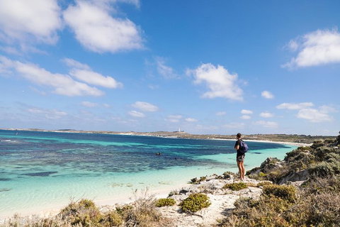 Rottnest Island With Bike Hire From Perth Or Fremantle - Attractions Perth 31