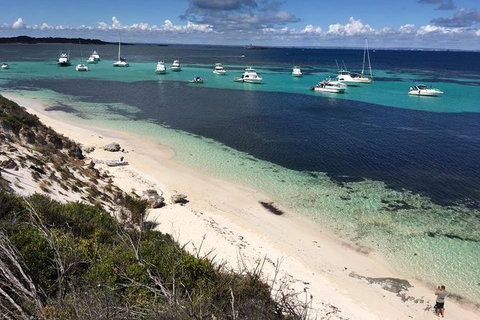 Rottnest Island With Bike Hire From Perth Or Fremantle - Attractions Perth 29