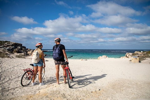 Rottnest Island With Bike Hire From Perth Or Fremantle - Attractions Perth 28