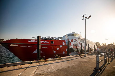 Rottnest Island Round-Trip Ferry From Perth Or Fremantle - Attractions Perth 1
