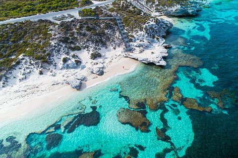 Rottnest Island Round-Trip Ferry From Perth Or Fremantle - Attractions Perth 2