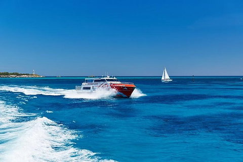 Rottnest Island Round-Trip Ferry From Perth Or Fremantle - Attractions Perth 5