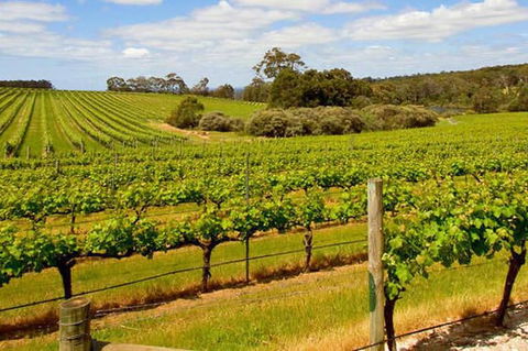 Full-Day Benedictine New Norcia & Swan Valley Winery - Attractions Perth 1