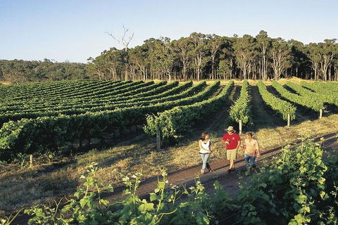 2-Day Margaret River Wine Experience From Perth - Attractions Perth 1