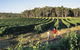 2-Day Margaret River Wine Experience From Perth - thumb 4