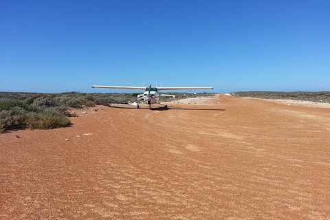Abrolhos Islands Scenic Flight & Snorkel Adventure From Perth - Attractions Perth 6