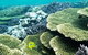 Abrolhos Islands Scenic Flight & Snorkel Adventure From Perth - thumb 3