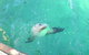 Abrolhos Islands Scenic Flight & Snorkel Adventure From Perth - thumb 4
