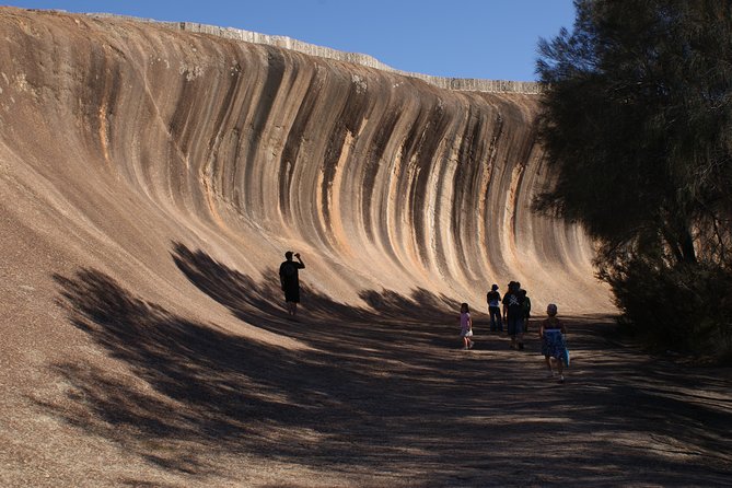 Wave Rock Pinnacles and Rottnest One Day Aeroplane Tour Perth