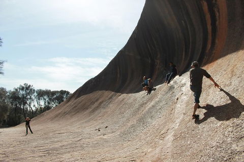 Wave Rock, Pinnacles And Rottnest One Day Aeroplane Tour - Attractions Perth 5