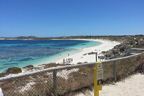 Wave Rock, Pinnacles And Rottnest One Day Aeroplane Tour - Attractions Perth 7