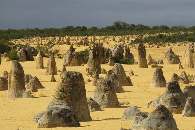 Pinnacles Desert Scenic Flight and Ground Tour Perth