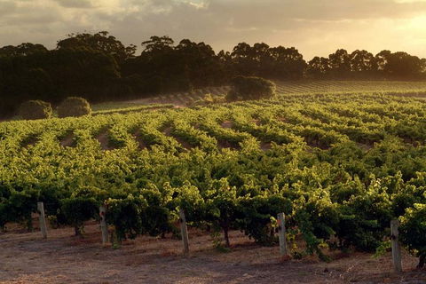 Flight To Leeuwin Winery For Lunch - Attractions Perth 5