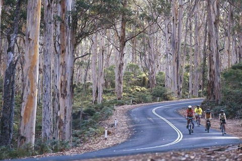 Margaret River And Geographe Bay Region Day Trip From Perth - Attractions Perth 1