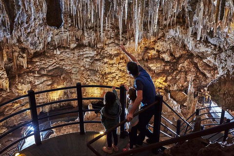 Margaret River And Geographe Bay Region Day Trip From Perth - Attractions Perth 0