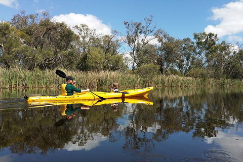 Kayak Tour On The Canning River - Attractions Perth 2