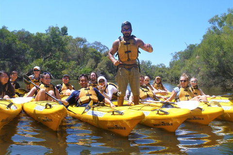 Kayak Tour On The Canning River - Attractions Perth 3