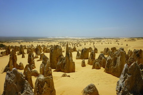 Pinnacles Desert Tour - Attractions Perth 1