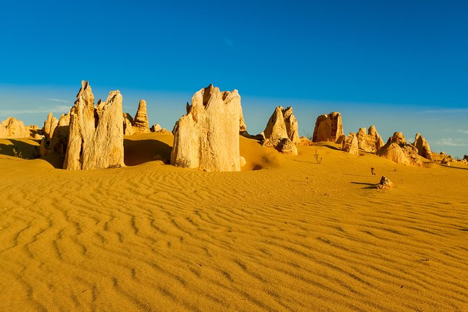Pinnacles Desert Tour Perth