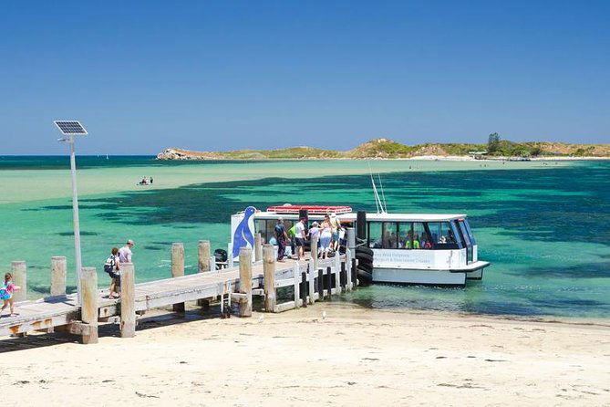 Penguin Island and Caversham Wildlife Park Day Trip From Perth Perth