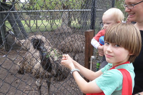 Swan Valley Half-Day Food Tour And Wine Trail From Perth - Attractions Perth 6