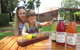 Swan Valley Half-Day Food Tour And Wine Trail From Perth - thumb 8