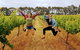 3 Day Margaret River & Beyond Tour - thumb 0