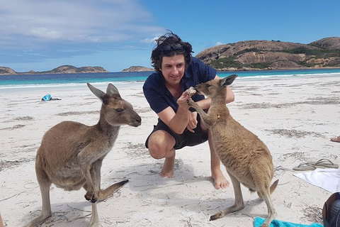 6-Day Esperance Adventure Tour From Perth - Attractions Perth 1