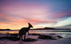 6-Day Esperance Adventure Tour From Perth - thumb 4