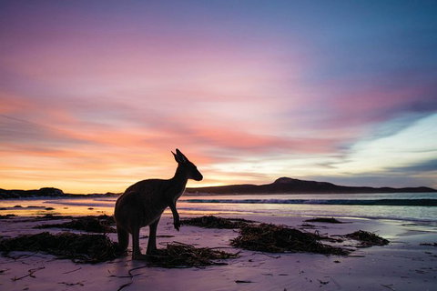 6-Day Esperance Adventure Tour From Perth - Attractions Perth 4