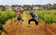 6-Day Esperance Adventure Tour From Perth - thumb 5