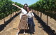 VIP Swan Valley Wine Tour - Premium Small Group Wine & Gourmet Experience - thumb 3