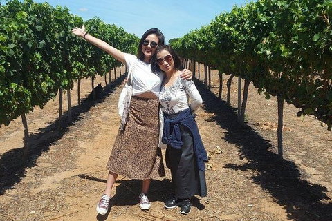 VIP Swan Valley Wine Tour - Premium Small Group Wine & Gourmet Experience - Attractions Perth 3