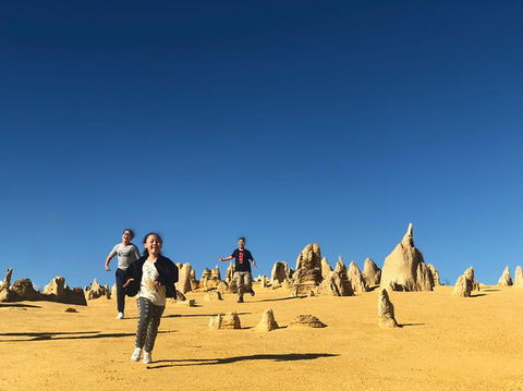 Pinnacles, Lancelin, Yanchep National Park Day Tour (Fish & Chip Lunch) - Attractions Perth 0