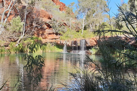 20 Day Perth To Darwin Adventure - Attractions Perth 3