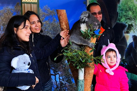 Caversham Wildlife Park, Old Guildford Town & Swan Valley Tour - Attractions Perth 1