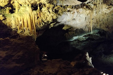The Pinnacle Adventure Tour - Attractions Perth 2