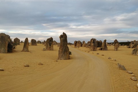 The Pinnacle Adventure Tour - Attractions Perth 8