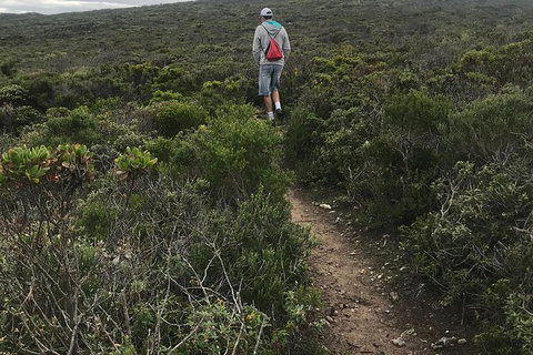 Cape To Cape Track Hike And Winery Tour - Attractions Perth 1