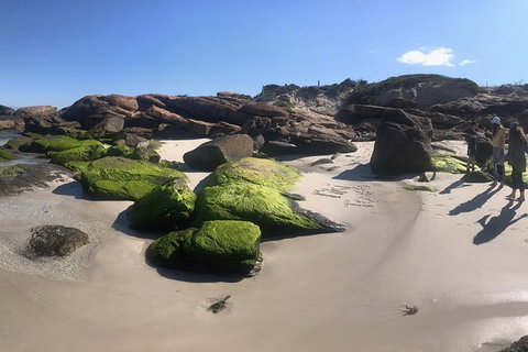 Cape To Cape Track Hike And Winery Tour - Attractions Perth 11