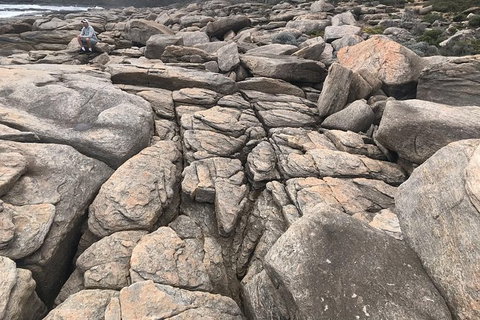 Cape To Cape Track Hike And Winery Tour - Attractions Perth 8