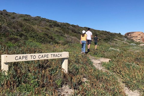 Cape To Cape Track Hike And Winery Tour - Attractions Perth 4