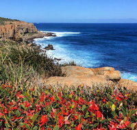 Cape to Cape End-to-End 8 Day Walking Experience - Attractions Perth