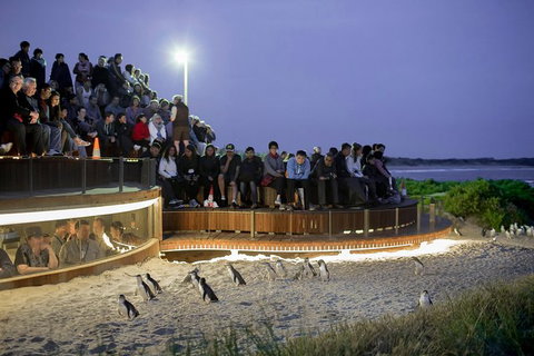 Small-Group Phillip Island Day Trip From Melbourne With Penguin Plus Viewing - Attractions Perth 2