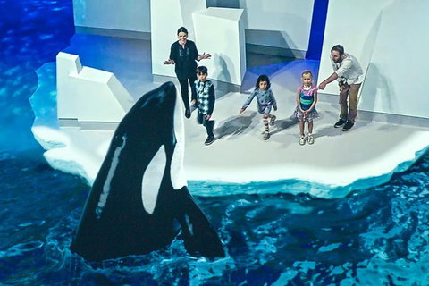 Small-Group Phillip Island Day Trip From Melbourne With Penguin Plus Viewing - Attractions Perth 10