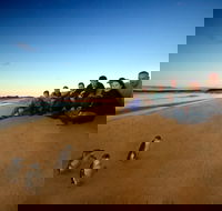 Phillip Island Ultimate Penguin Eco Tour or Skybox Experience - Attractions Perth