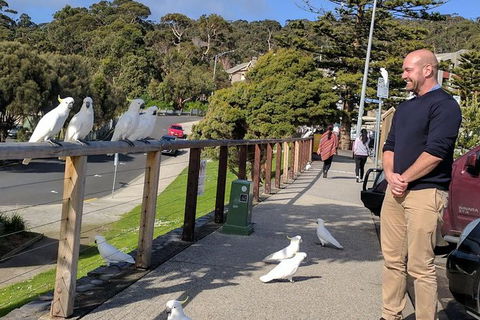 Private Full-Day Great Ocean Road Tour With Helicopter Ride - Attractions Perth 1