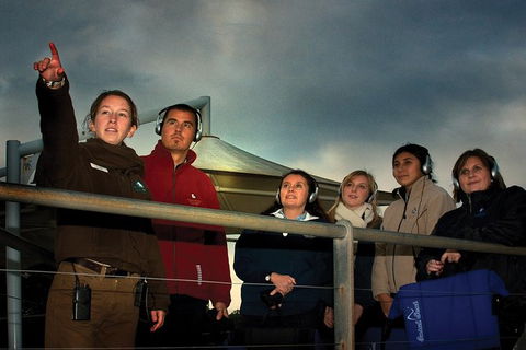 Phillip Island Penguin Parade Express Tour From Melbourne - Attractions Perth 4