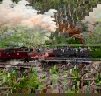 Melbourne Combo Great Ocean Road Puffing Billy Moonlit Sanctuary  Penguins - Attractions Perth