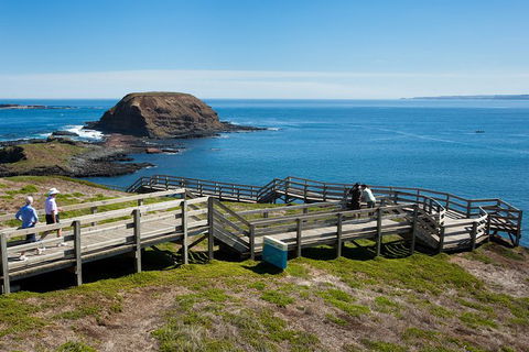 Melbourne Combo: Great Ocean Road, Puffing Billy, Moonlit Sanctuary & Penguins - Attractions Perth 3